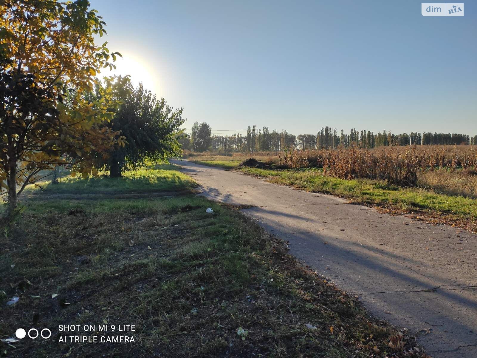 одноповерховий будинок з опаленням, 78 кв. м, цегла. Продаж у Середівці фото 1 одноповерховий будинок з опаленням, 78 кв. м, цегла. Продаж у Середівці фото 1