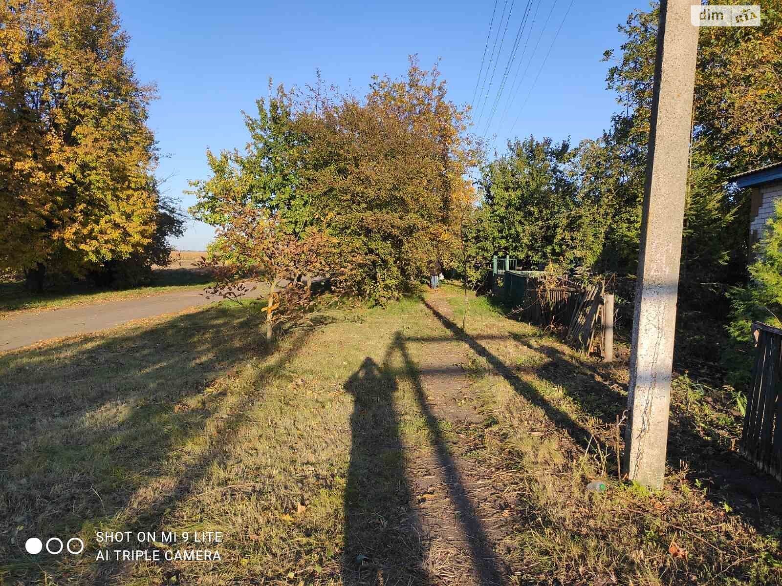 одноповерховий будинок з опаленням, 78 кв. м, цегла. Продаж у Середівці фото 1 одноповерховий будинок з опаленням, 78 кв. м, цегла. Продаж у Середівці фото 1