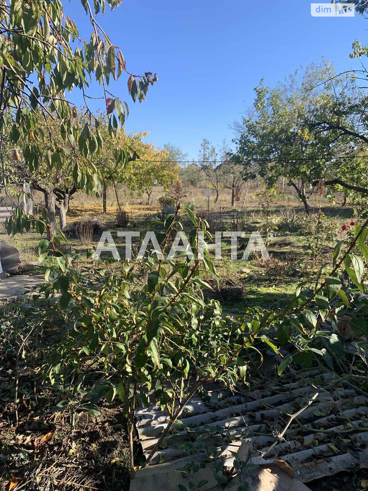 одноэтажный дом, 96 кв. м, кирпич силикатный. Продажа в Шабо фото 1 одноэтажный дом, 96 кв. м, кирпич силикатный. Продажа в Шабо фото 1