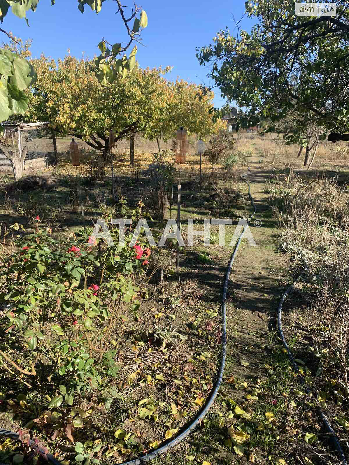 одноэтажный дом, 96 кв. м, кирпич силикатный. Продажа в Шабо фото 1 одноэтажный дом, 96 кв. м, кирпич силикатный. Продажа в Шабо фото 1