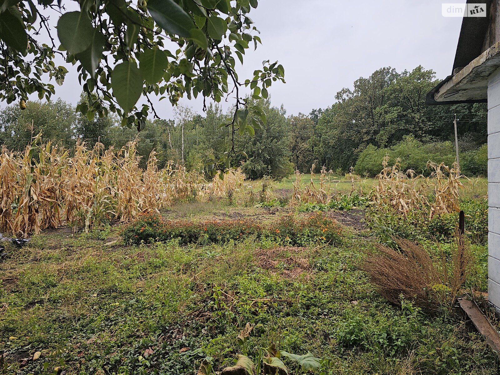 одноэтажный дом с верандой, 65.1 кв. м, кирпич. Продажа в Шамраевке фото 1