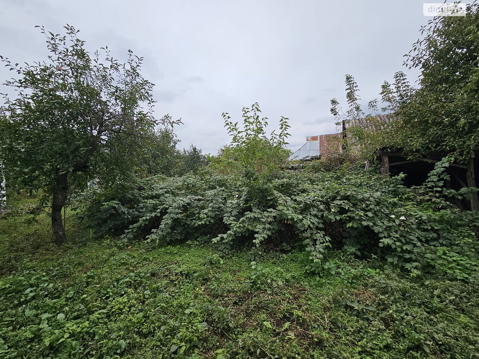 одноэтажный дом с верандой, 65.1 кв. м, кирпич. Продажа в Шамраевке фото 1