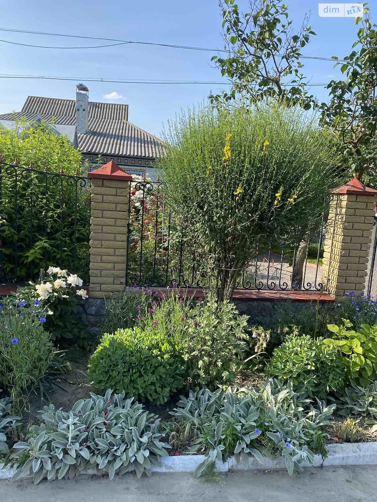 одноэтажный дом, 106.4 кв. м, кирпич. Продажа в Шаргороде район Шаргород фото 1 одноэтажный дом, 106.4 кв. м, кирпич. Продажа в Шаргороде район Шаргород фото 1