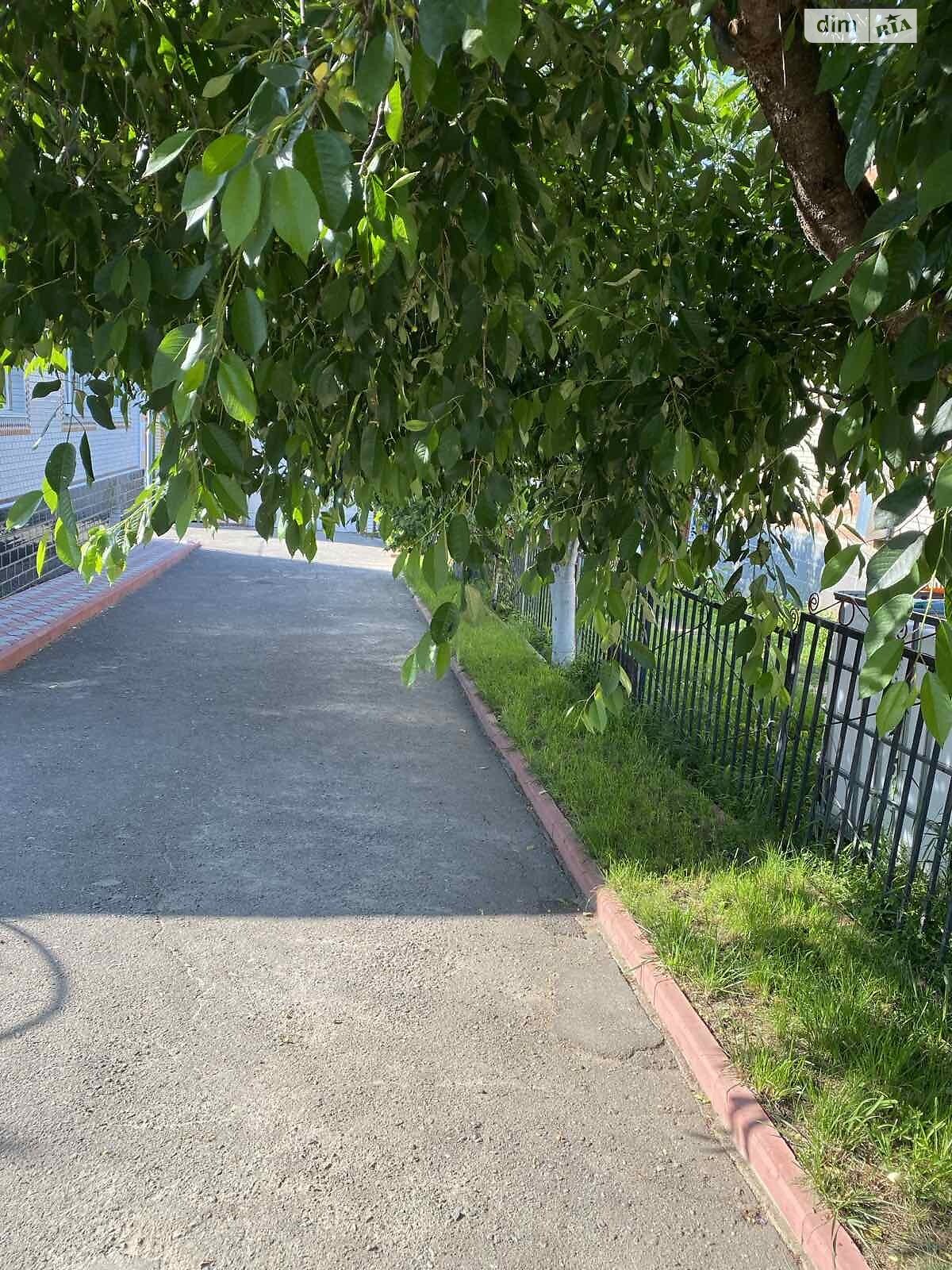 одноэтажный дом, 106.4 кв. м, кирпич. Продажа в Шаргороде район Шаргород фото 1 одноэтажный дом, 106.4 кв. м, кирпич. Продажа в Шаргороде район Шаргород фото 1