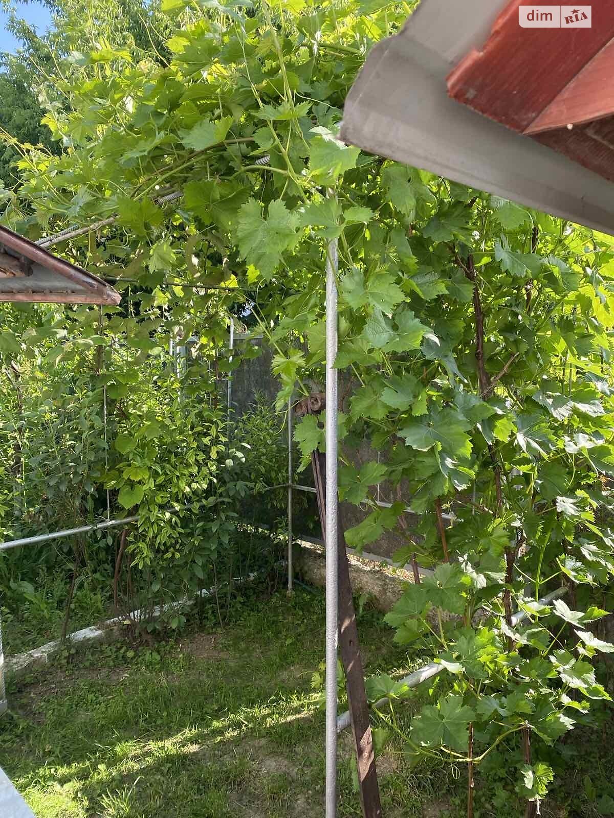 одноэтажный дом, 106.4 кв. м, кирпич. Продажа в Шаргороде район Шаргород фото 1 одноэтажный дом, 106.4 кв. м, кирпич. Продажа в Шаргороде район Шаргород фото 1
