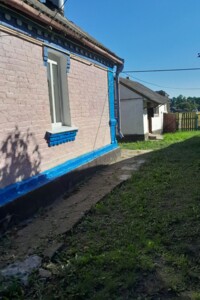 одноповерховий будинок з верандою, 70 кв. м, цегла. Продаж у Шепіївці фото 2