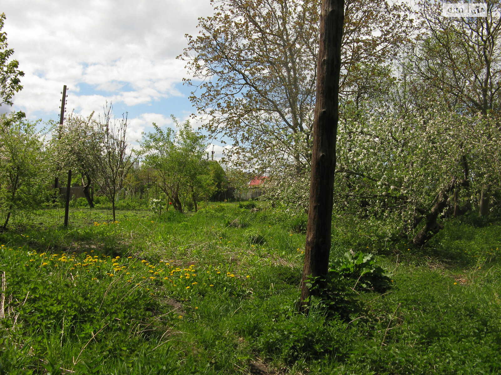 одноповерховий будинок з опаленням, 104 кв. м, брус. Продаж у Шепетівці фото 1