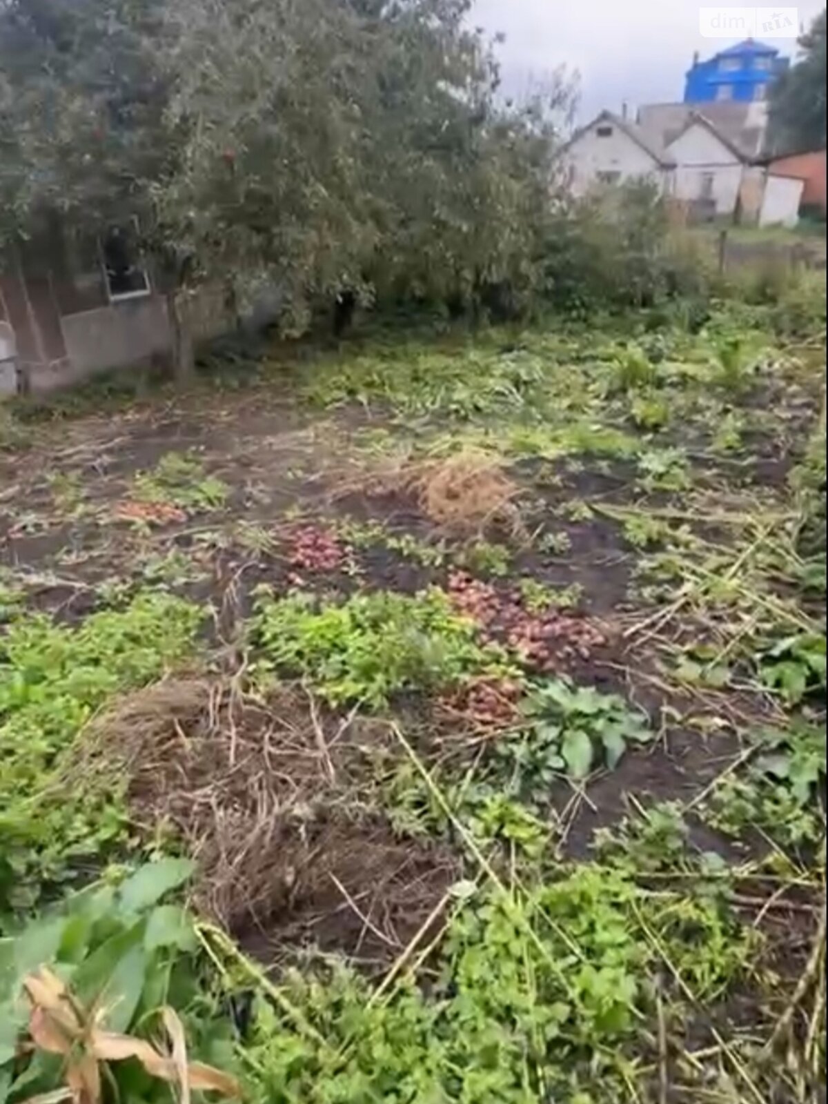 двухэтажный дом, 74 кв. м, кирпич. Продажа в Шепетовке фото 1 двухэтажный дом, 74 кв. м, кирпич. Продажа в Шепетовке фото 1