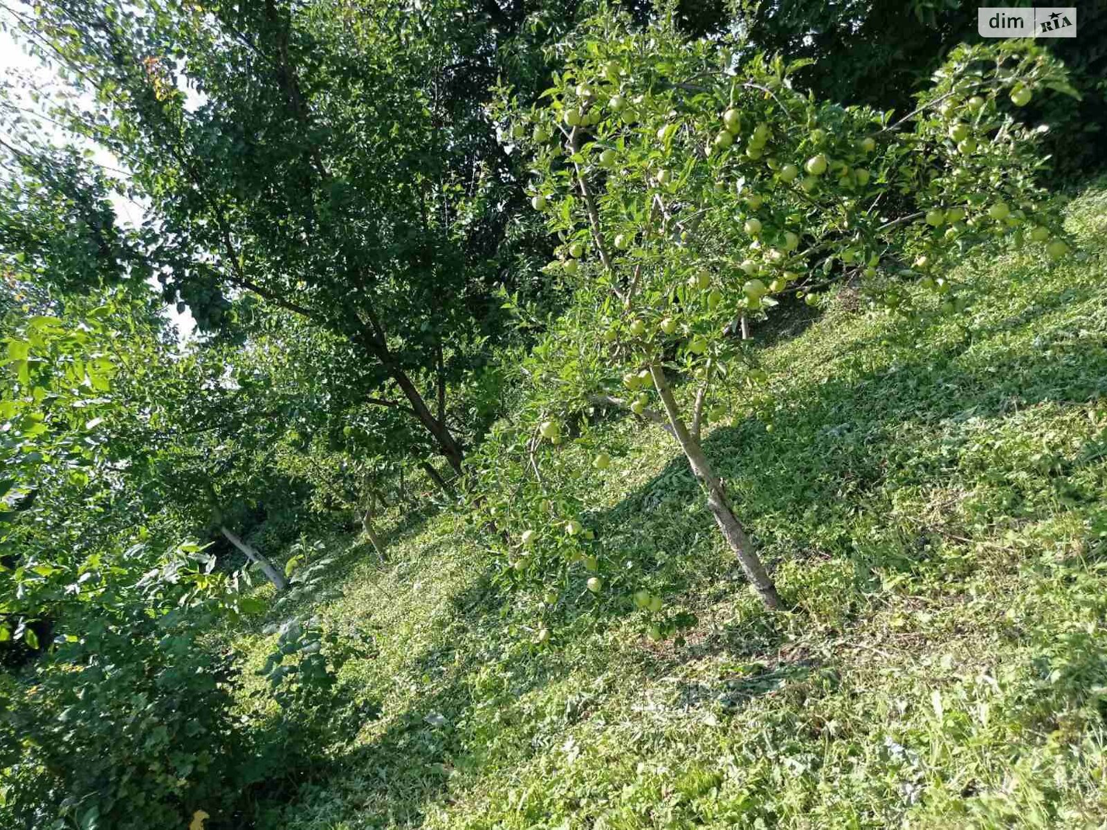 одноповерховий будинок з гаражем, 52 кв. м, цегла. Продаж у Широкій Греблі фото 1 одноповерховий будинок з гаражем, 52 кв. м, цегла. Продаж у Широкій Греблі фото 1