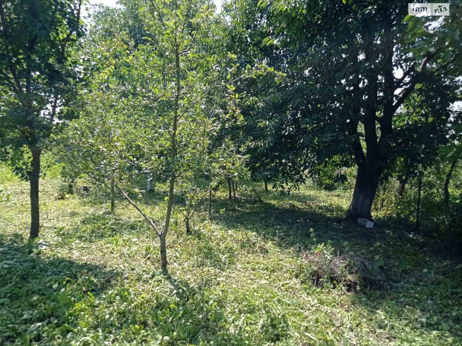 одноповерховий будинок з гаражем, 52 кв. м, цегла. Продаж у Широкій Греблі фото 1 одноповерховий будинок з гаражем, 52 кв. м, цегла. Продаж у Широкій Греблі фото 1