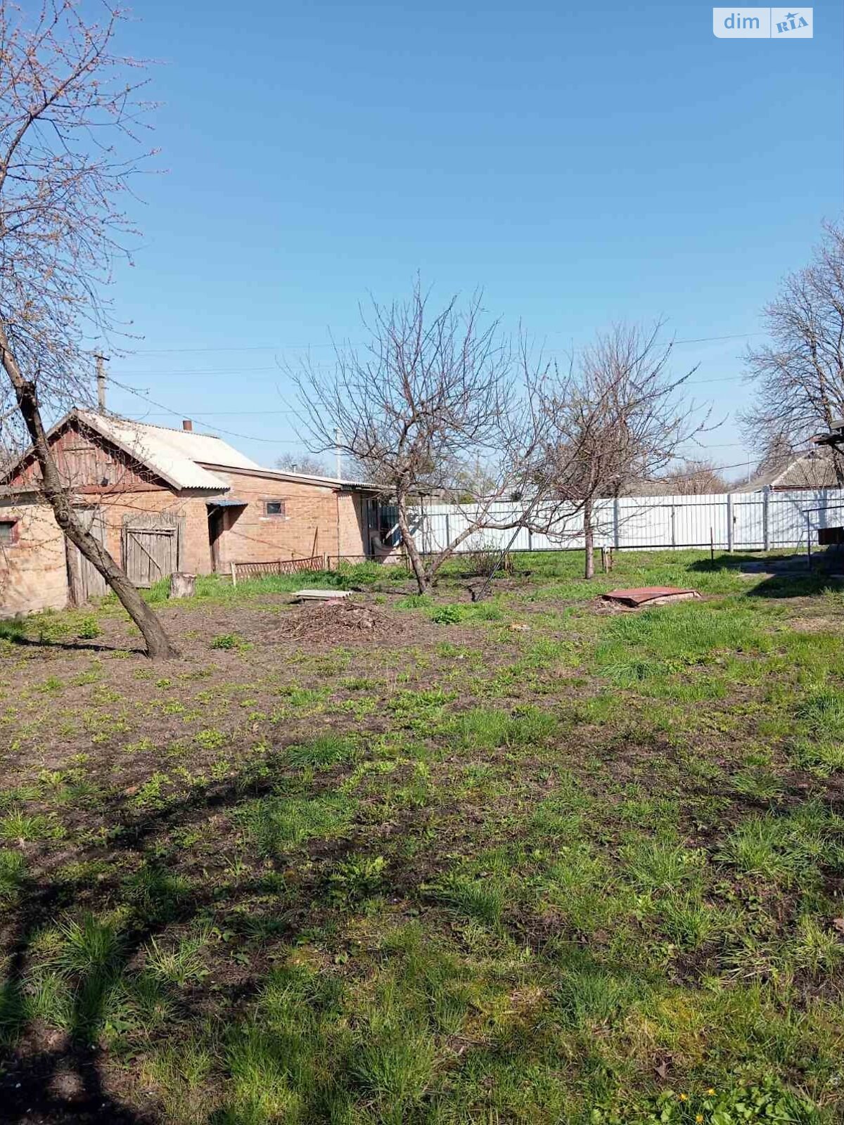 одноповерховий будинок, 80 кв. м, цегла. Продаж у Шишаках фото 1 одноповерховий будинок, 80 кв. м, цегла. Продаж у Шишаках фото 1
