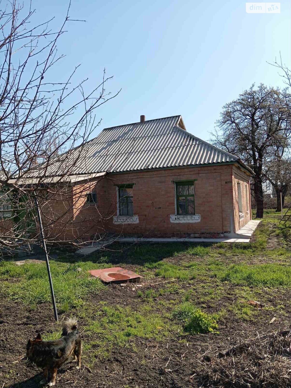 одноповерховий будинок, 80 кв. м, цегла. Продаж у Шишаках фото 1 одноповерховий будинок, 80 кв. м, цегла. Продаж у Шишаках фото 1