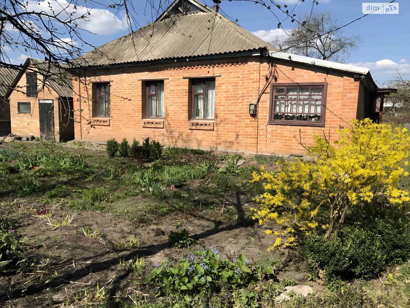 одноповерховий будинок, 88 кв. м, цегла. Продаж у Шишаках фото 1 одноповерховий будинок, 88 кв. м, цегла. Продаж у Шишаках фото 1