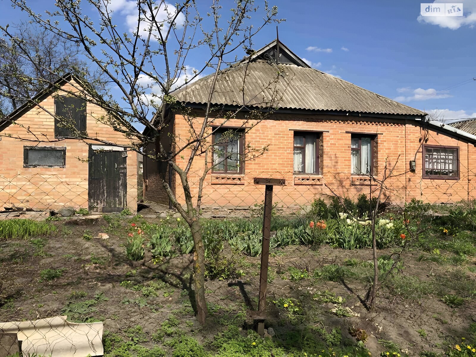 одноповерховий будинок, 88 кв. м, цегла. Продаж у Шишаках фото 1 одноповерховий будинок, 88 кв. м, цегла. Продаж у Шишаках фото 1
