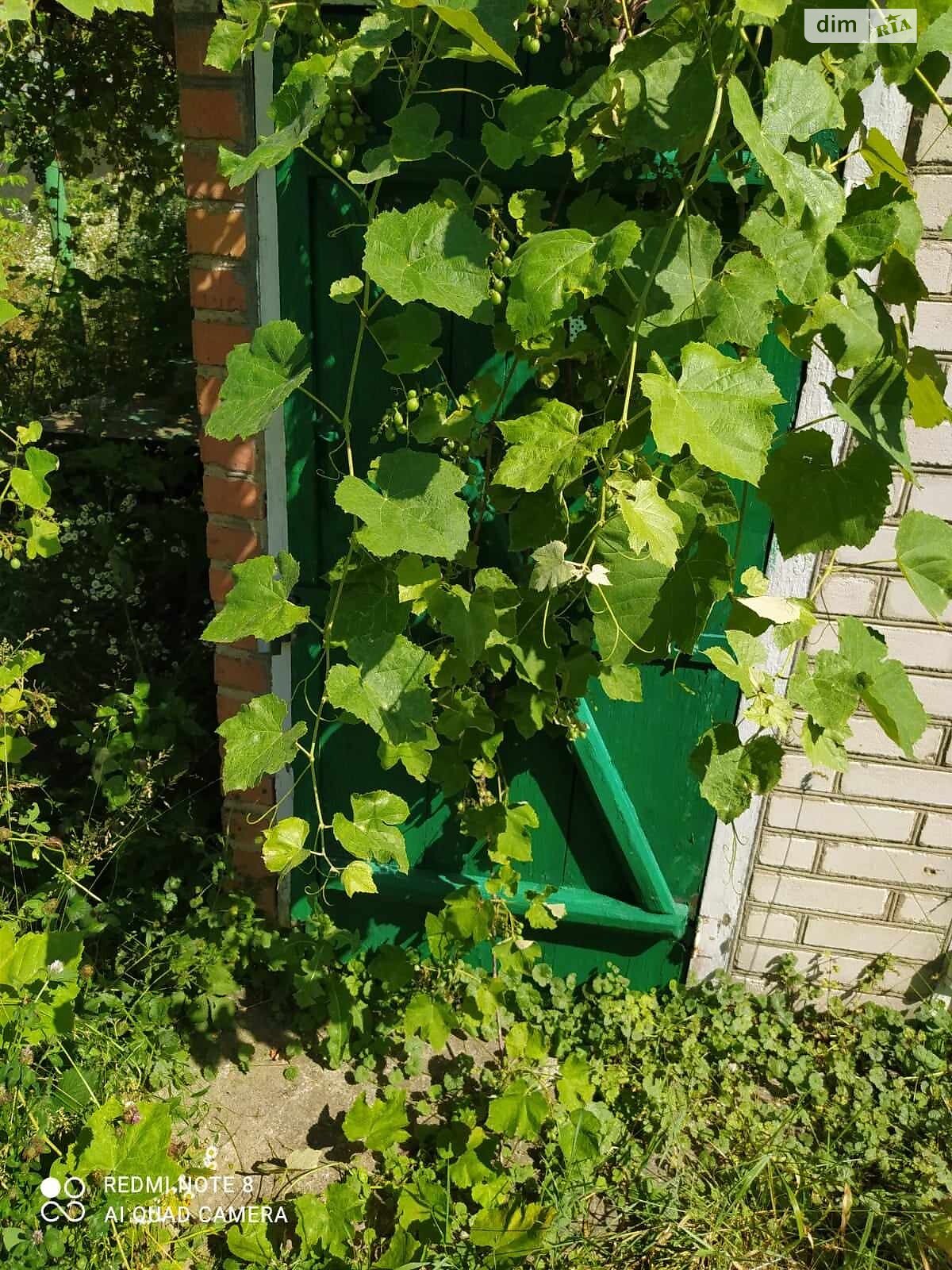 одноповерховий будинок, 45 кв. м, цегла. Продаж у Шолудьках фото 1 одноповерховий будинок, 45 кв. м, цегла. Продаж у Шолудьках фото 1