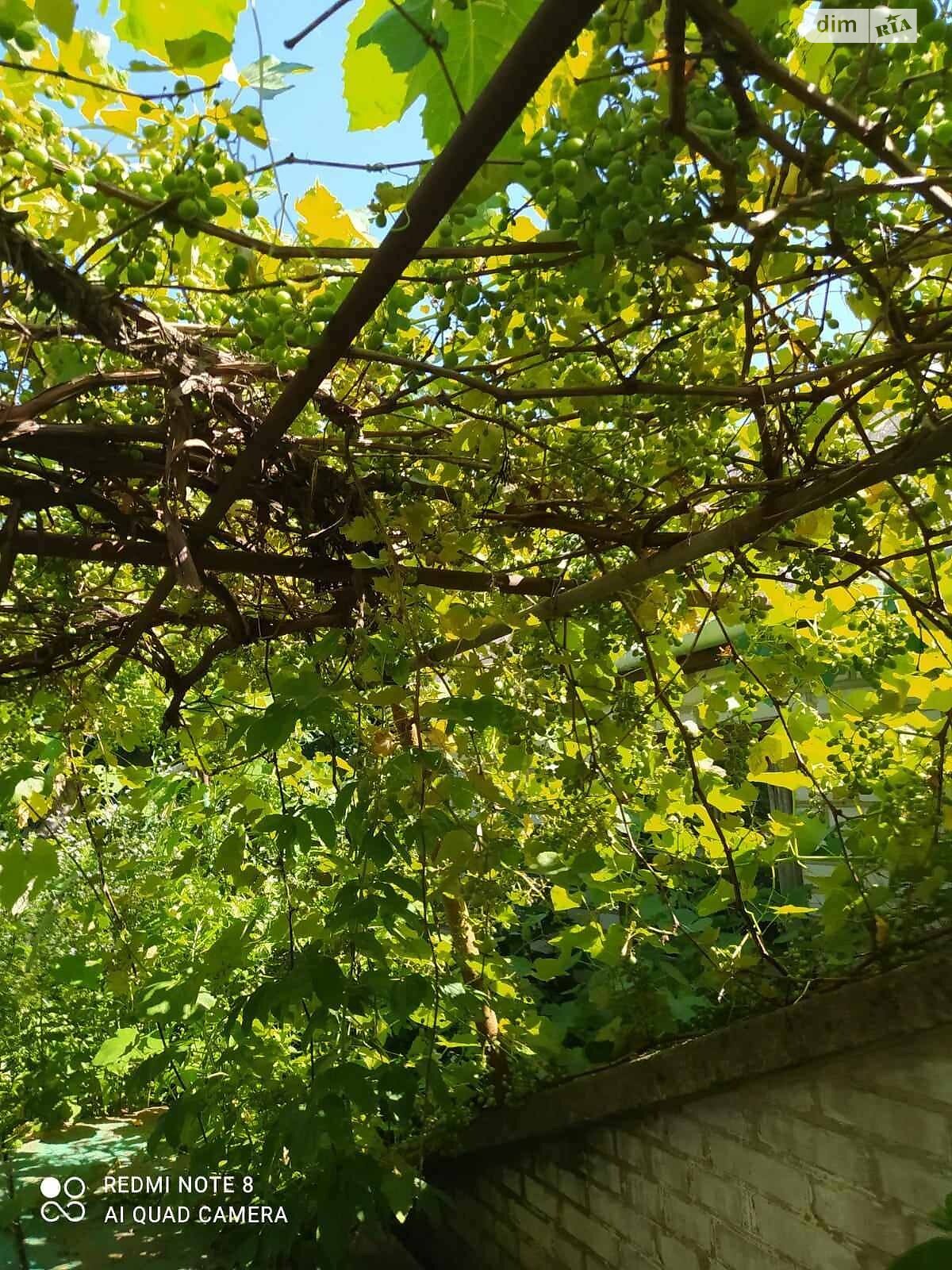 одноповерховий будинок, 45 кв. м, цегла. Продаж у Шолудьках фото 1 одноповерховий будинок, 45 кв. м, цегла. Продаж у Шолудьках фото 1