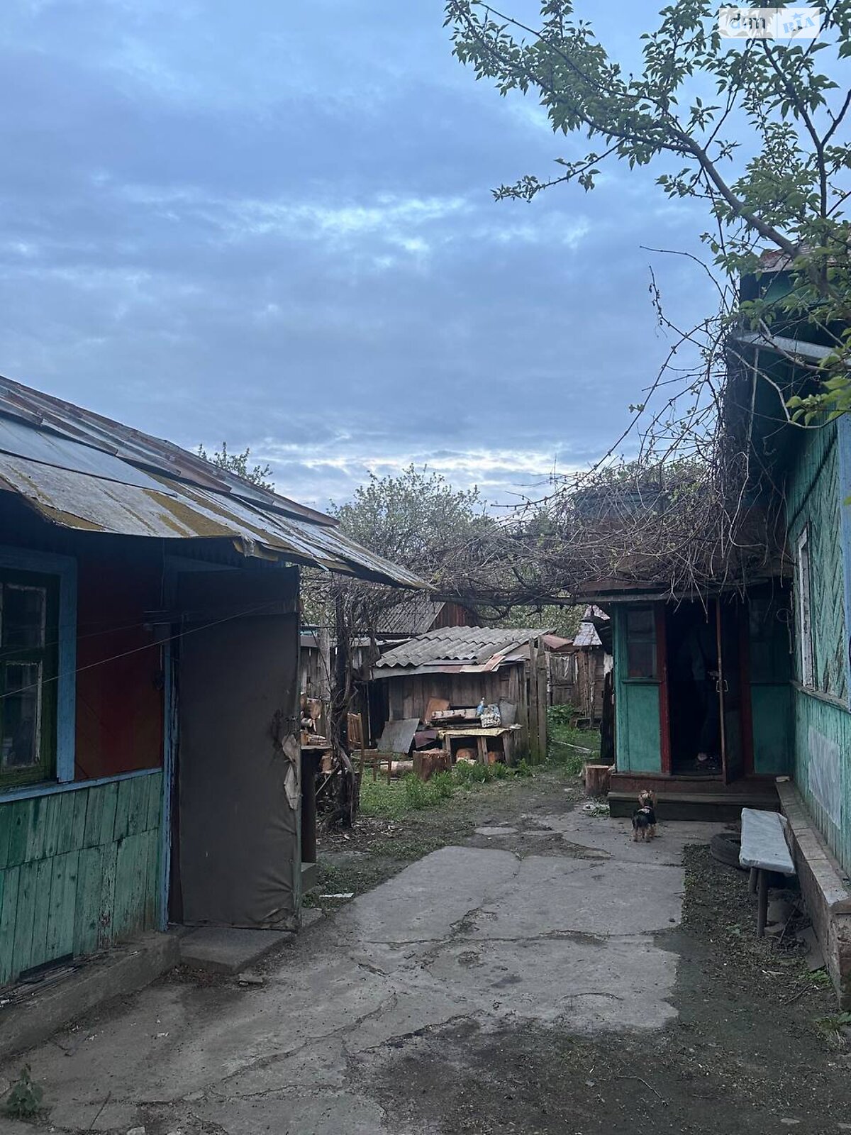 одноэтажный дом с гаражом, 65 кв. м, брус. Продажа в Шостке район Шостка фото 1 одноэтажный дом с гаражом, 65 кв. м, брус. Продажа в Шостке район Шостка фото 1