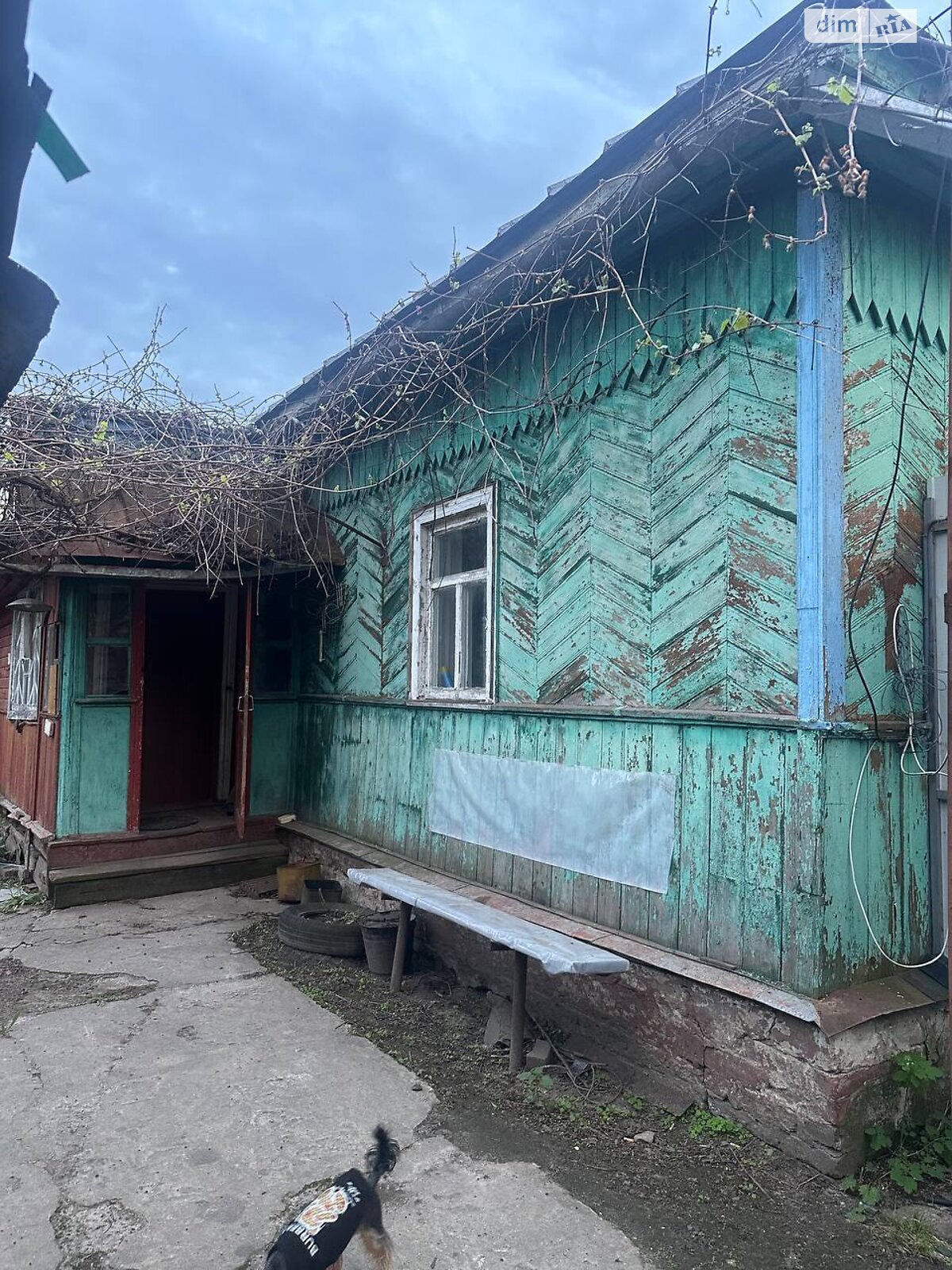 одноэтажный дом с гаражом, 65 кв. м, брус. Продажа в Шостке район Шостка фото 1 одноэтажный дом с гаражом, 65 кв. м, брус. Продажа в Шостке район Шостка фото 1