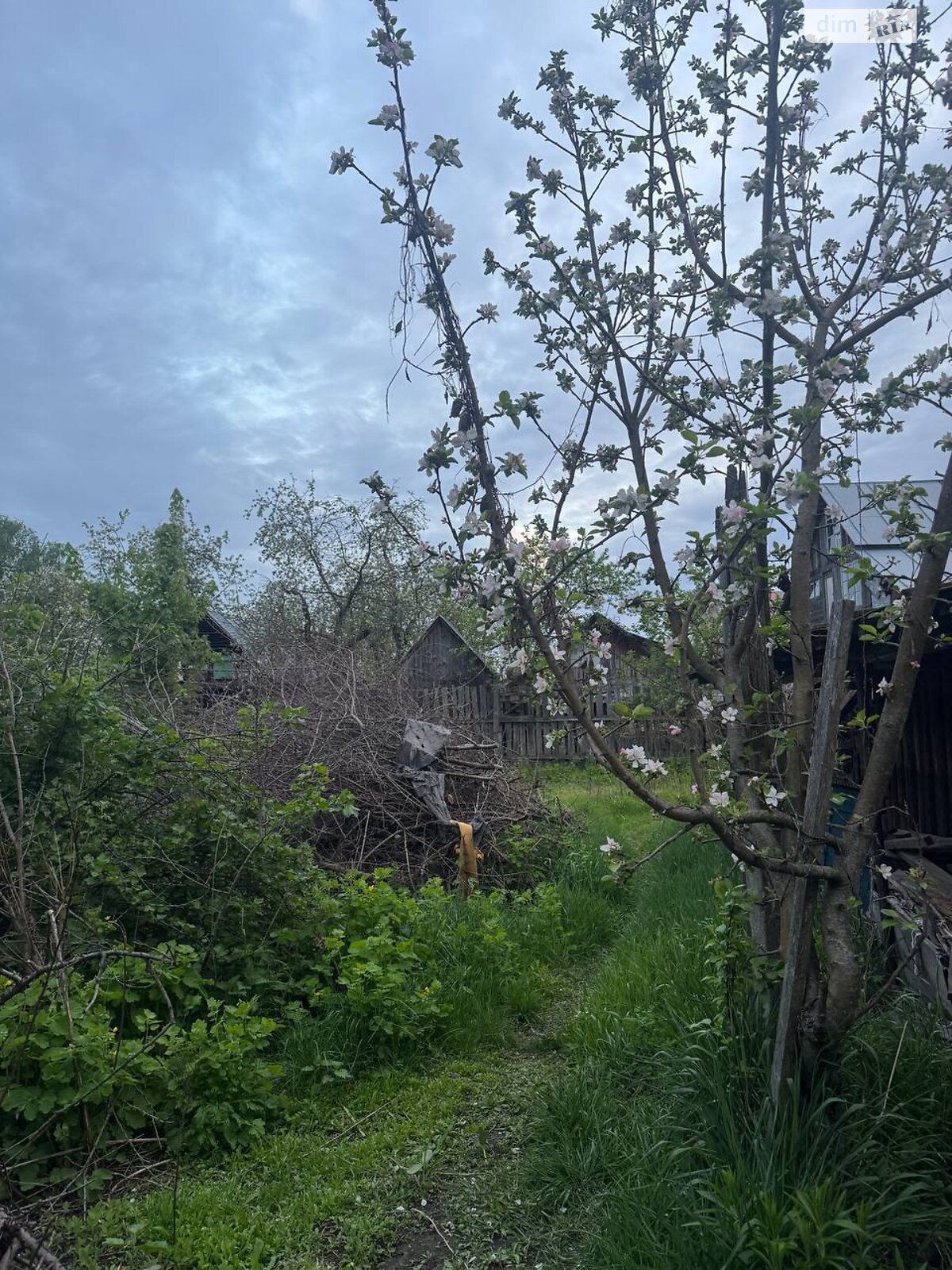 одноэтажный дом с гаражом, 65 кв. м, брус. Продажа в Шостке район Шостка фото 1 одноэтажный дом с гаражом, 65 кв. м, брус. Продажа в Шостке район Шостка фото 1