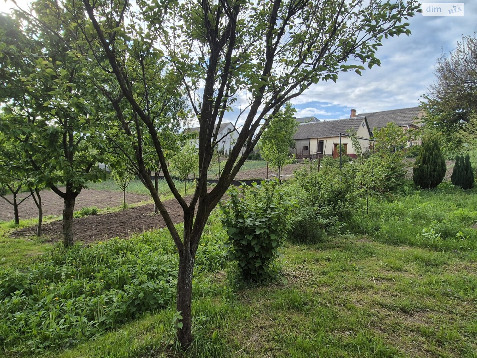 двоповерховий будинок з верандою, 168 кв. м, блочно-цегляний. Продаж в Шпанові, район Тинне фото 1 двоповерховий будинок з верандою, 168 кв. м, блочно-цегляний. Продаж в Шпанові, район Тинне фото 1