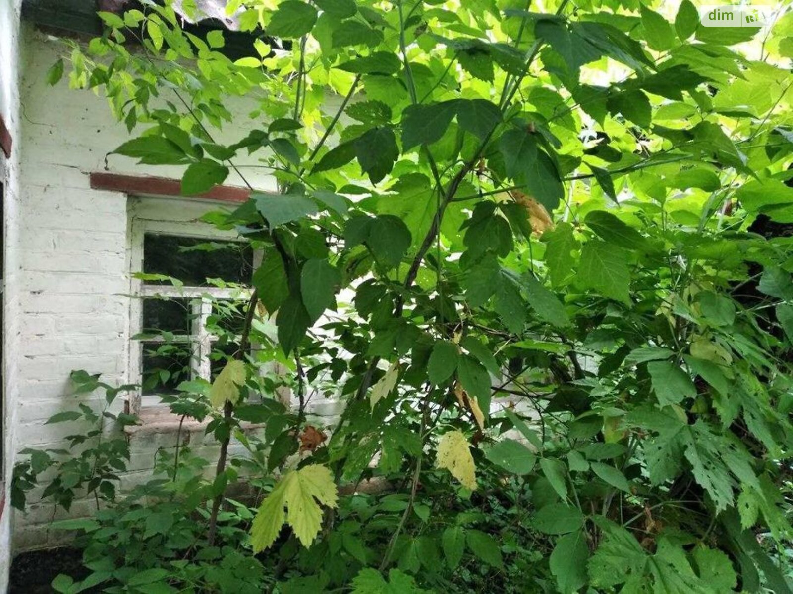 одноповерховий будинок, 68 кв. м, цегла. Продаж у Шрамки фото 1