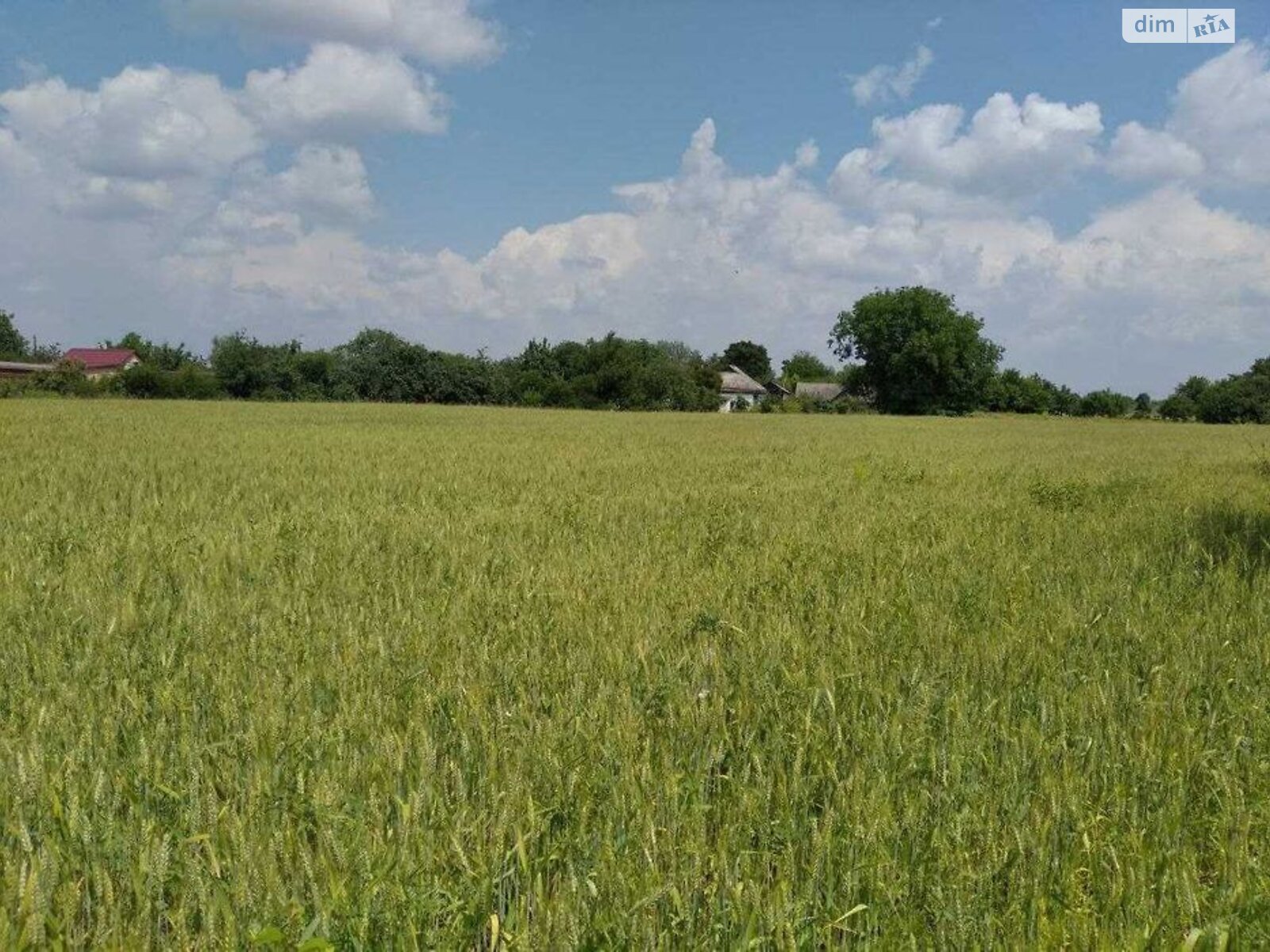 одноповерховий будинок, 68 кв. м, цегла. Продаж у Шрамки фото 1