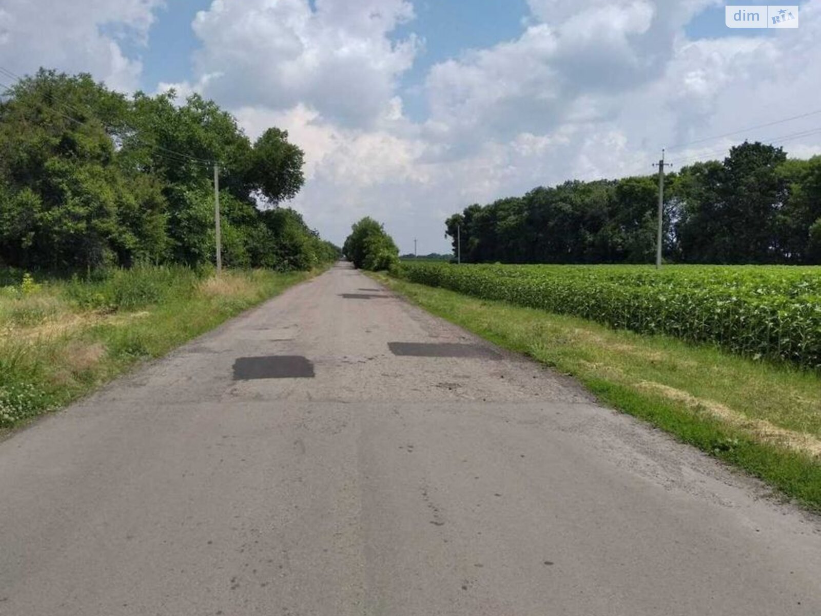 одноповерховий будинок, 68 кв. м, цегла. Продаж у Шрамки фото 1