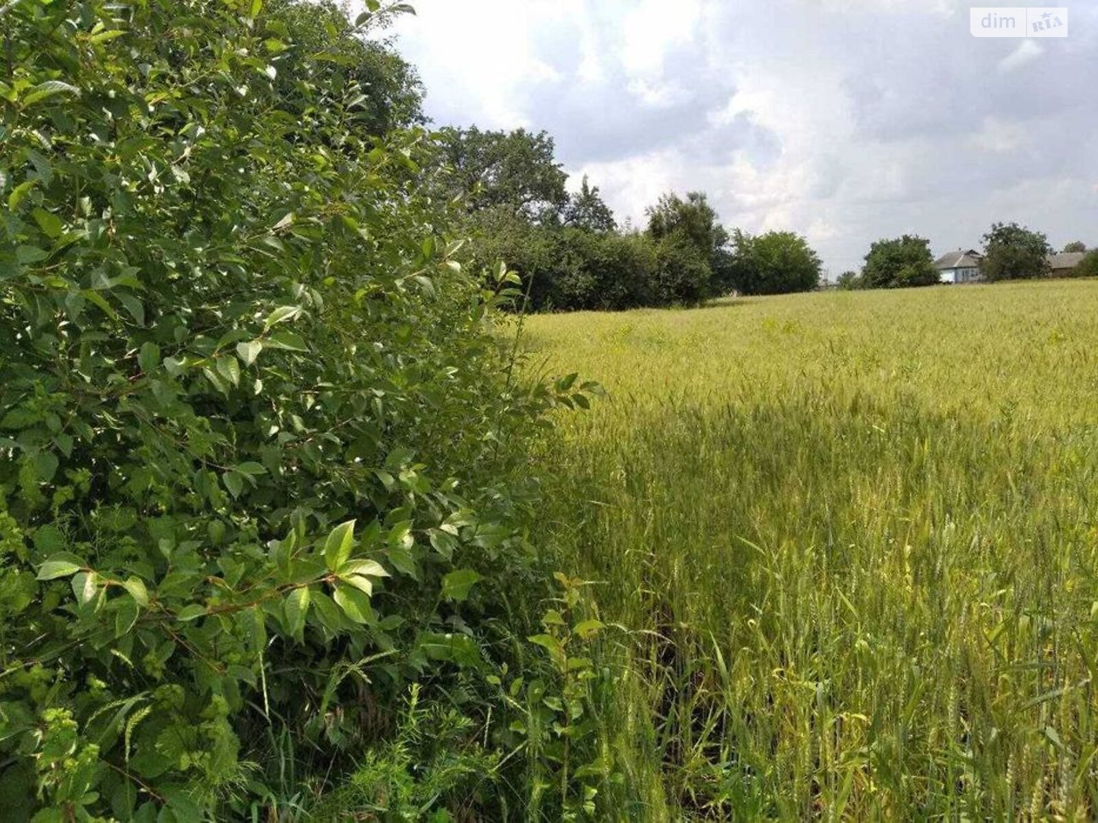 одноповерховий будинок, 68 кв. м, цегла. Продаж у Шрамки фото 1