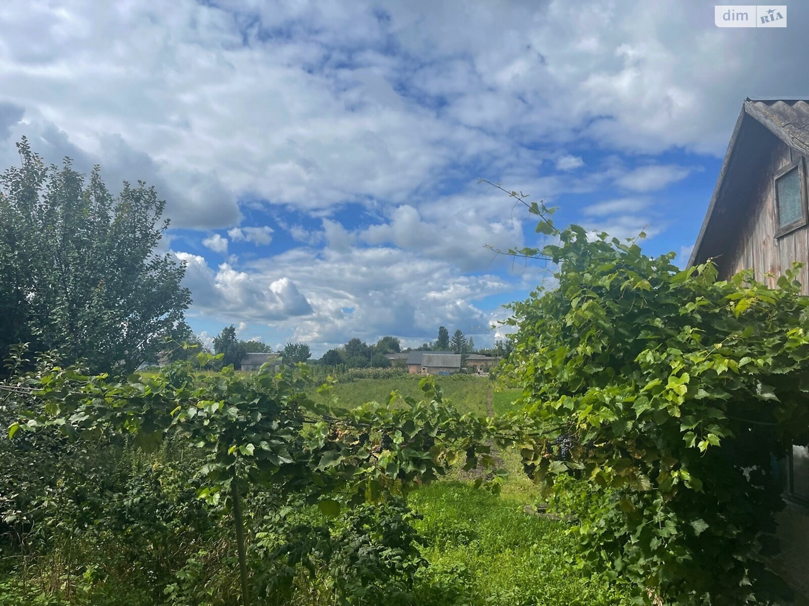 одноповерховий будинок з верандою, 104.6 кв. м, дерево та цегла. Продаж у Шубкові фото 1 одноповерховий будинок з верандою, 104.6 кв. м, дерево та цегла. Продаж у Шубкові фото 1