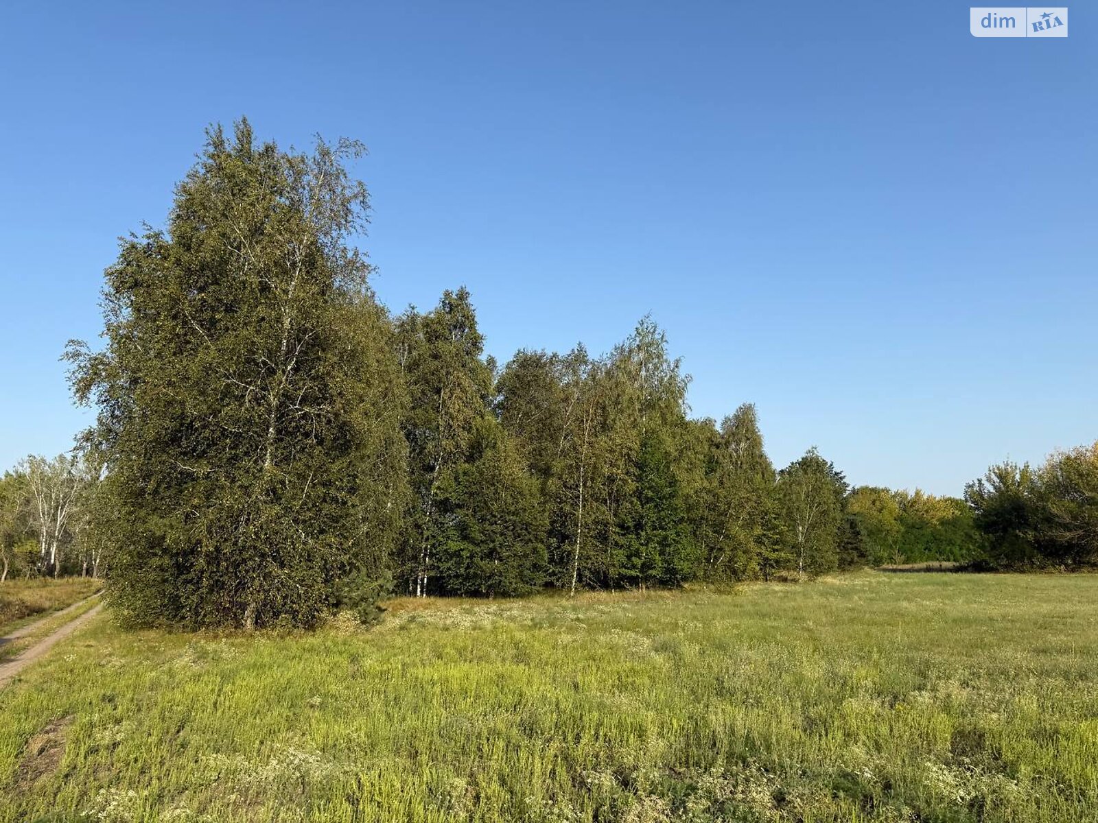 двоповерховий будинок бесідка, 382.9 кв. м, цегла. Продаж у Шульгівці фото 1 двоповерховий будинок бесідка, 382.9 кв. м, цегла. Продаж у Шульгівці фото 1