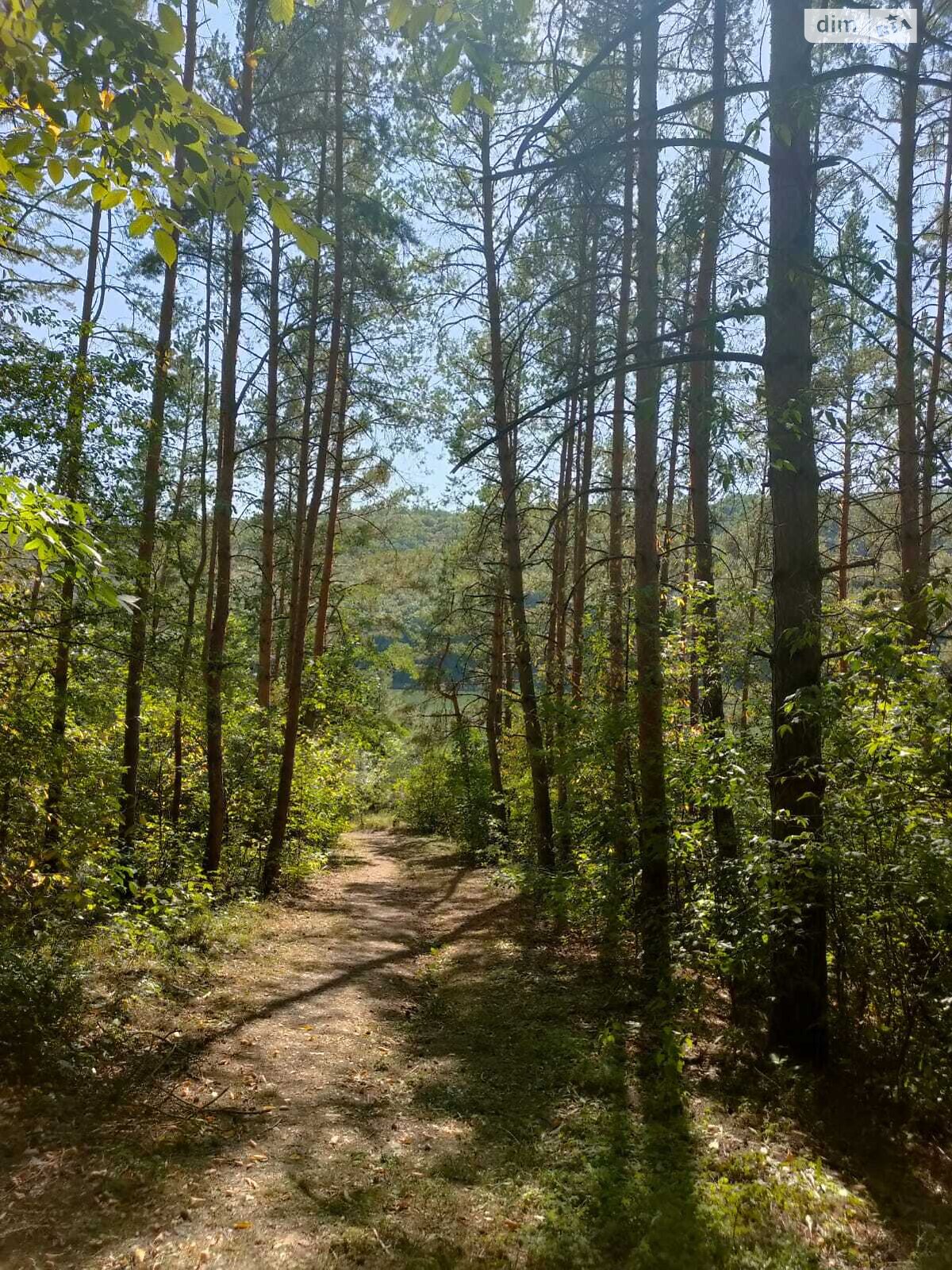 одноэтажный дом, 57.2 кв. м, кирпич. Продажа в Шутновцах фото 1