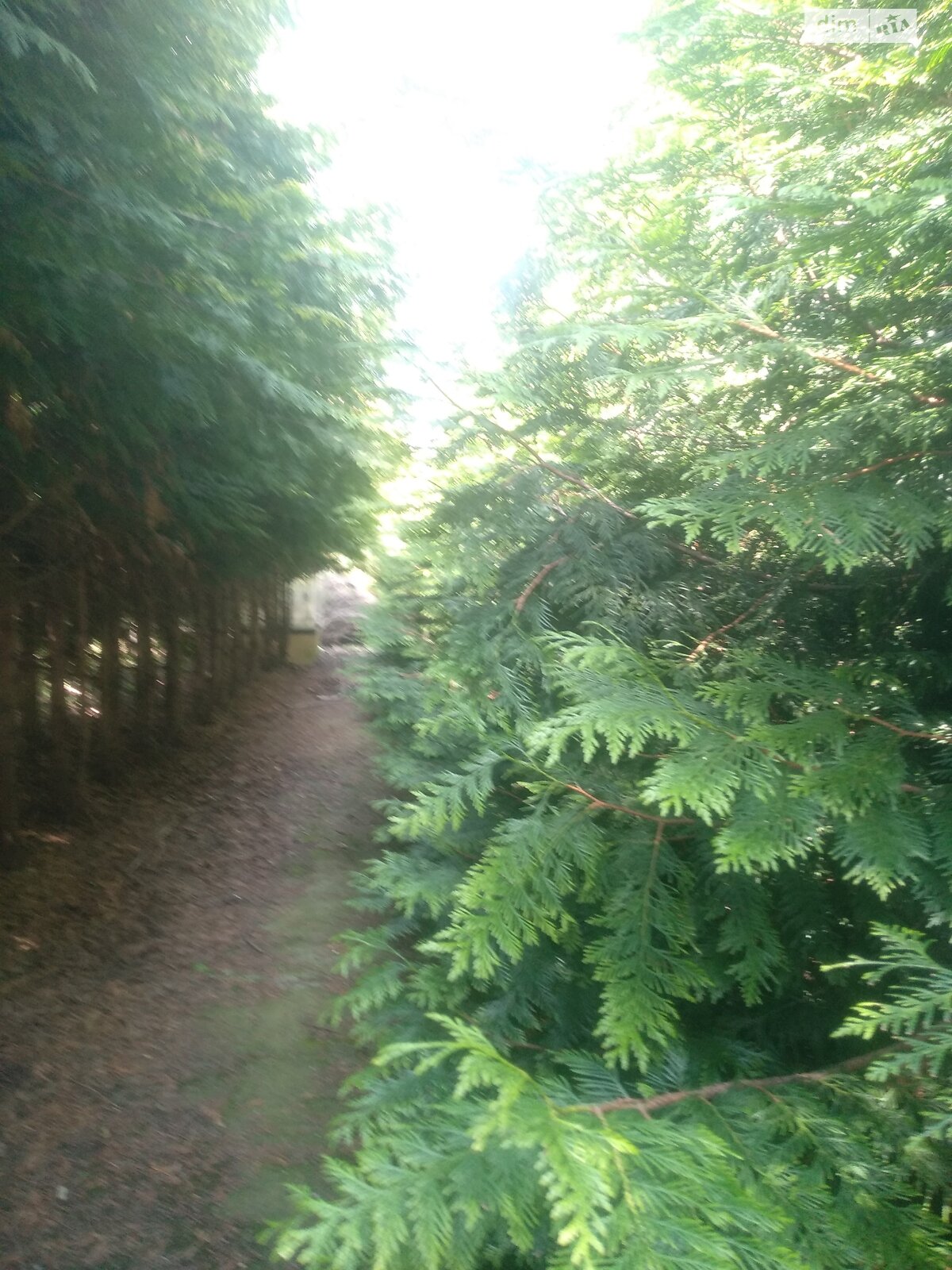 двоповерховий будинок, 750 кв. м, цегла. Продаж у Сигналі фото 1