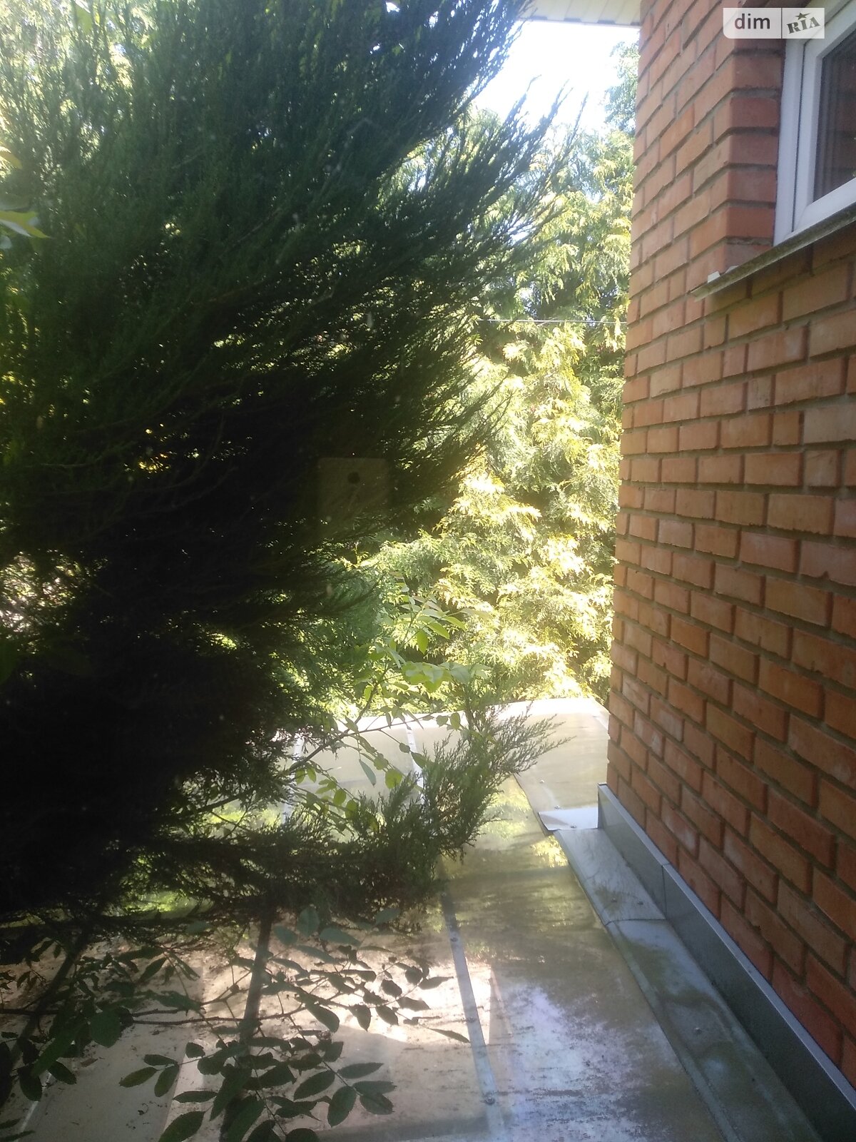 двоповерховий будинок, 750 кв. м, цегла. Продаж у Сигналі фото 1