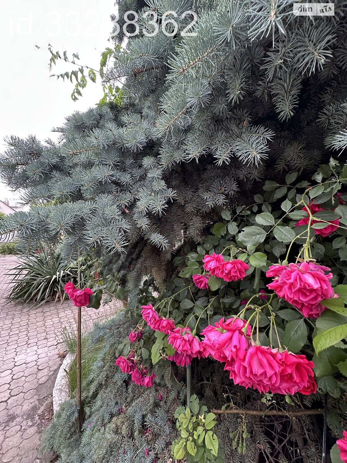 двухэтажный дом с балконом, 123.3 кв. м, кирпич. Продажа в Синельникове район Синельниково фото 1 двухэтажный дом с балконом, 123.3 кв. м, кирпич. Продажа в Синельникове район Синельниково фото 1