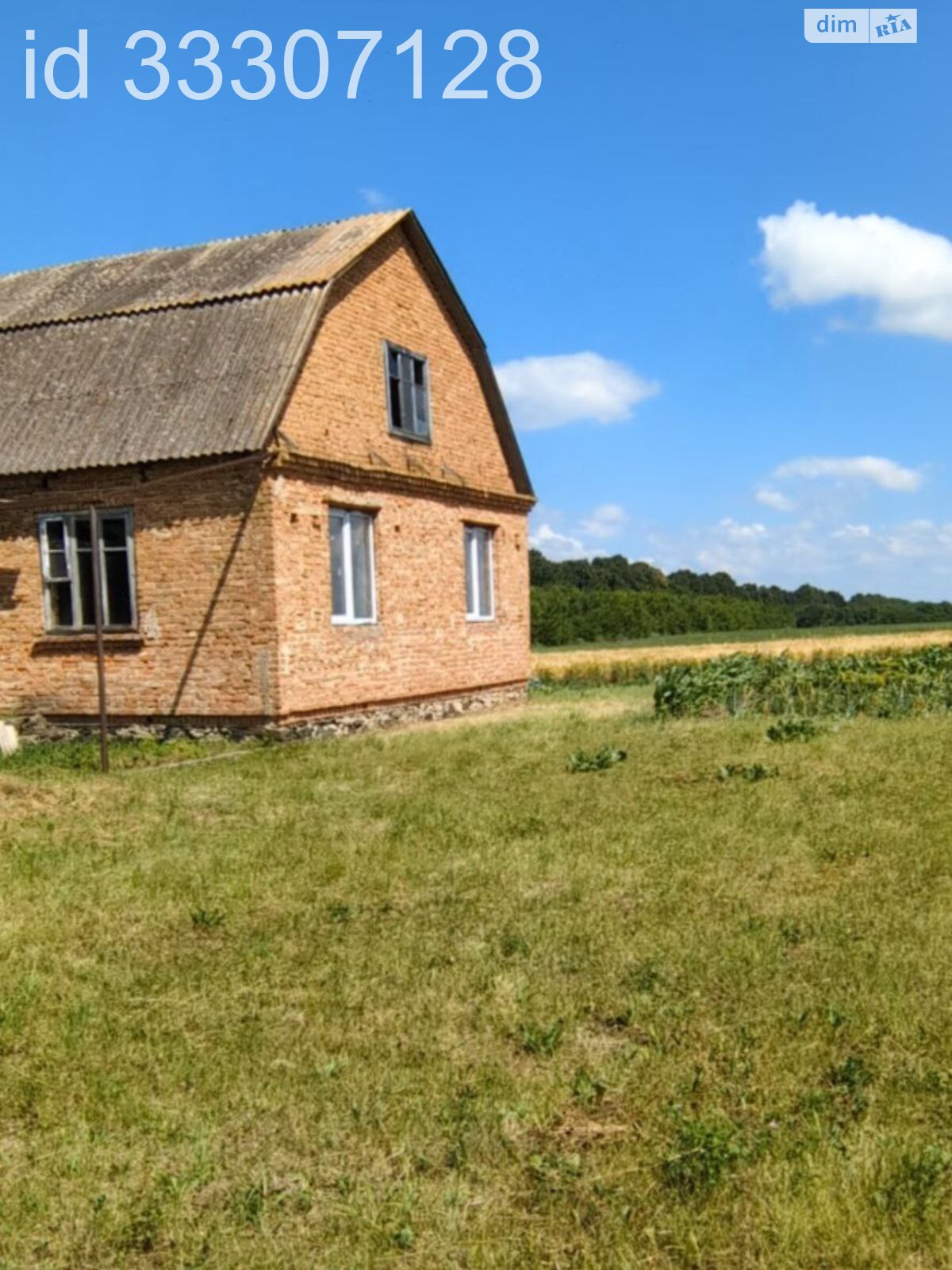 одноэтажный дом с верандой, 99.6 кв. м, кирпич. Продажа в Синеве фото 1