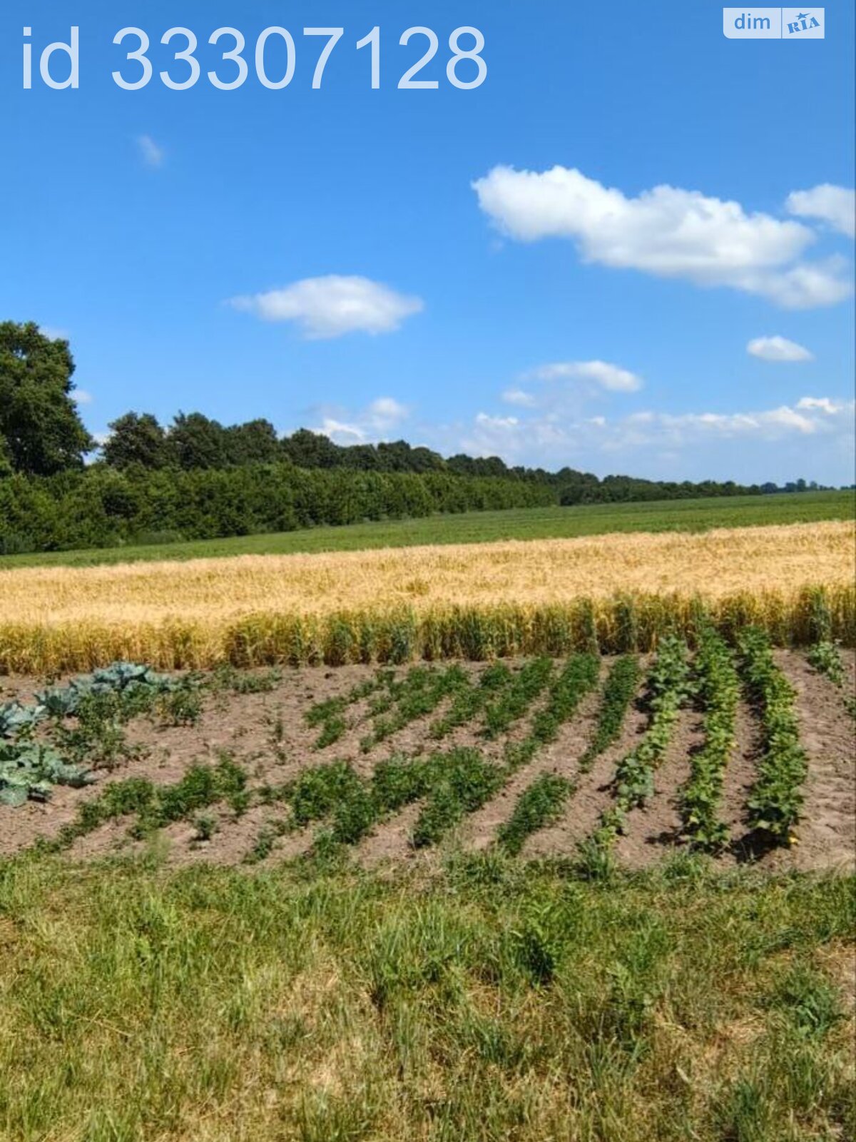 одноэтажный дом с верандой, 99.6 кв. м, кирпич. Продажа в Синеве фото 1