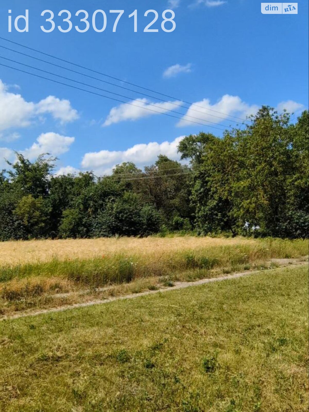 одноэтажный дом с верандой, 99.6 кв. м, кирпич. Продажа в Синеве фото 1