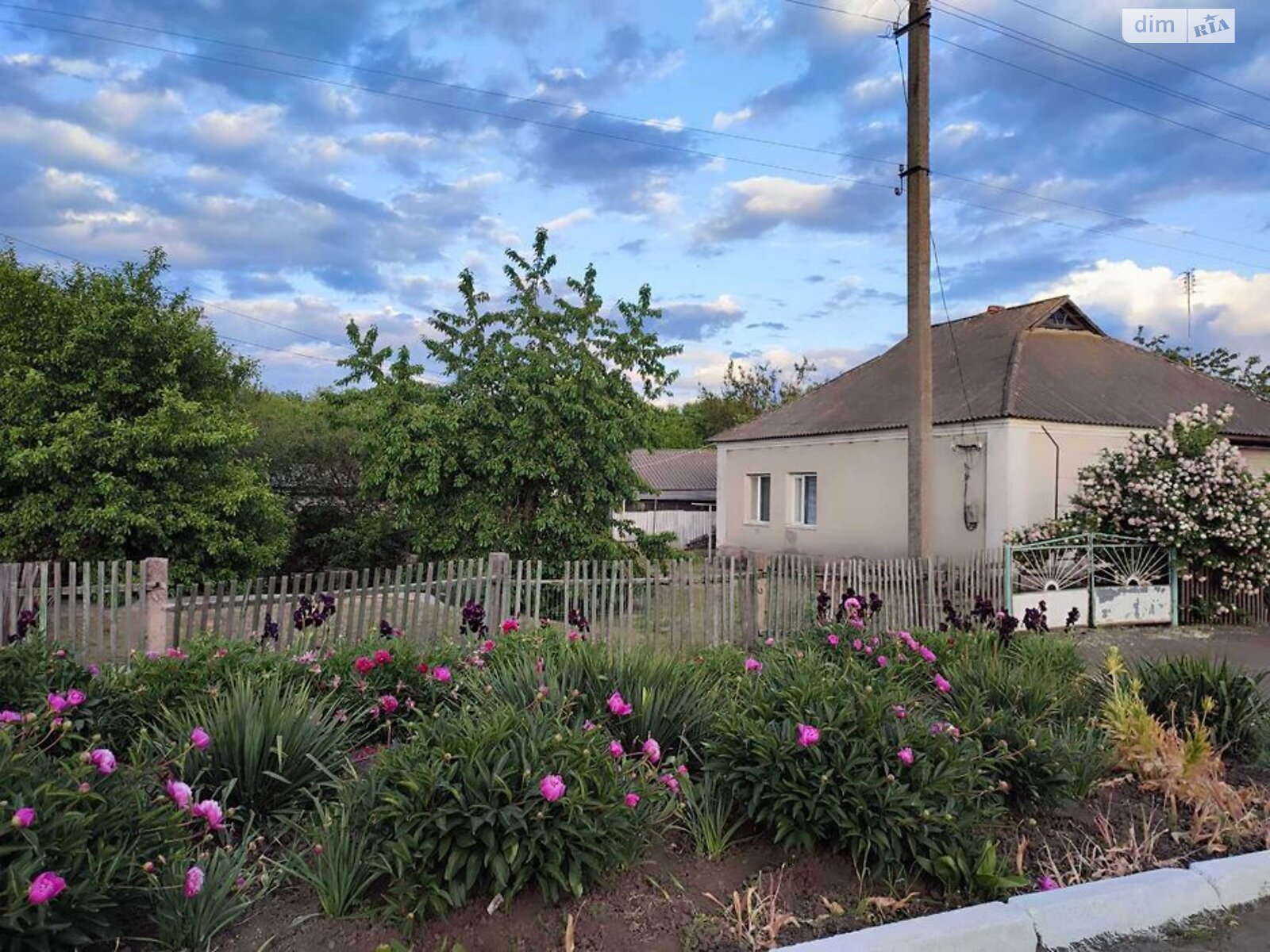 одноповерховий будинок з гаражем, 81.1 кв. м, цегла. Продаж у Синьки фото 1 одноповерховий будинок з гаражем, 81.1 кв. м, цегла. Продаж у Синьки фото 1