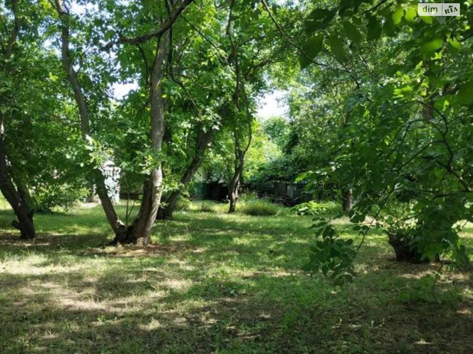 одноповерховий будинок з гаражем, 73 кв. м, цегла. Продаж у Синяківщиній фото 1 одноповерховий будинок з гаражем, 73 кв. м, цегла. Продаж у Синяківщиній фото 1