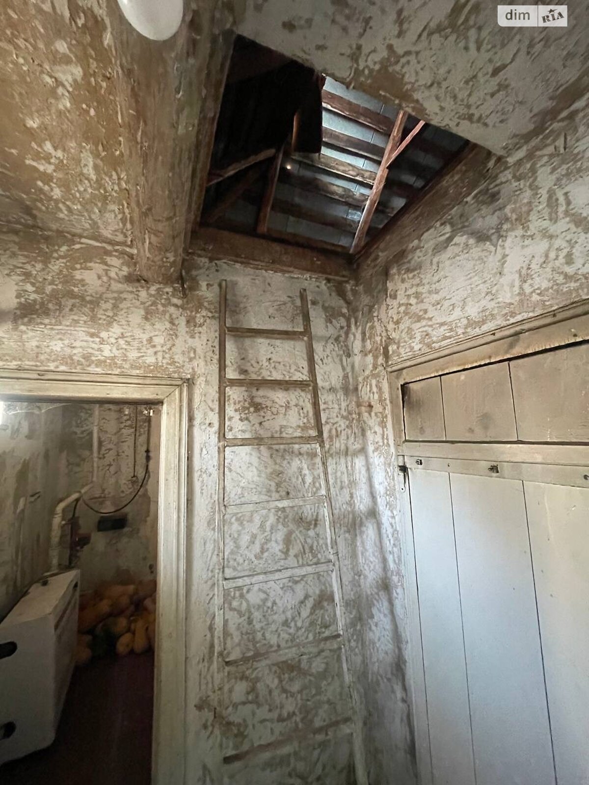 одноповерховий будинок, 64.3 кв. м, цегла. Продаж у Синяві фото 1 одноповерховий будинок, 64.3 кв. м, цегла. Продаж у Синяві фото 1