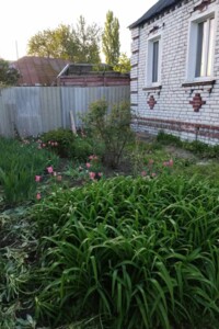 одноповерховий будинок, 46.1 кв. м, цегла. Продаж у Сковородинівці фото 2