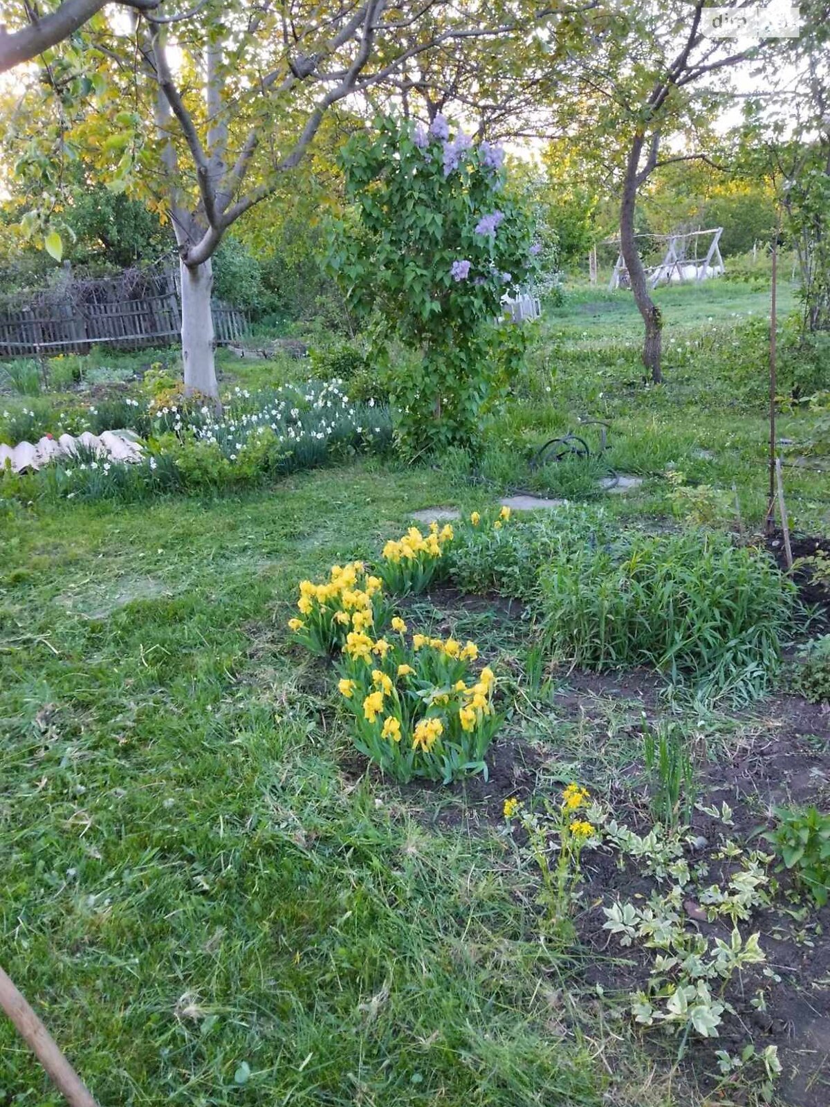 одноповерховий будинок, 46.1 кв. м, цегла. Продаж у Сковородинівці фото 1 одноповерховий будинок, 46.1 кв. м, цегла. Продаж у Сковородинівці фото 1