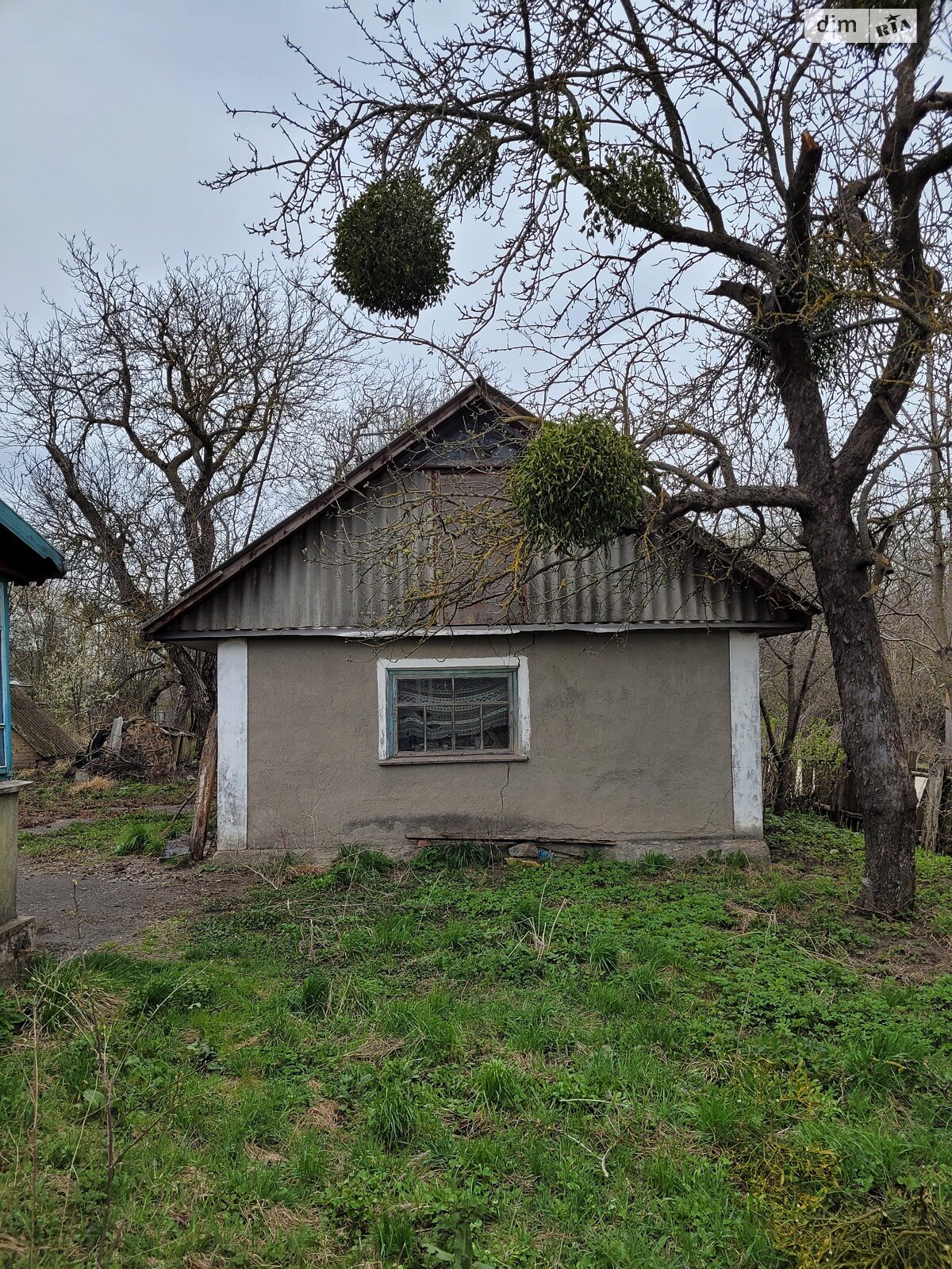 одноповерховий будинок, 65 кв. м, глинобитний. Продаж у Сковорідках фото 1 одноповерховий будинок, 65 кв. м, глинобитний. Продаж у Сковорідках фото 1