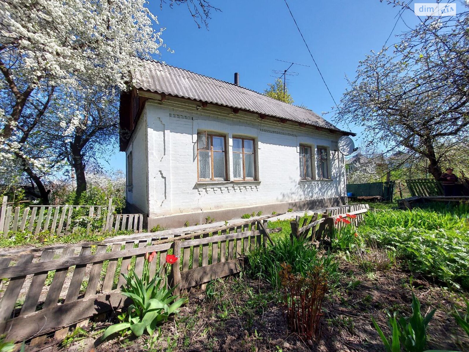 одноповерховий будинок з опаленням, 66.5 кв. м, цегла. Продаж у Сквирі фото 1 одноповерховий будинок з опаленням, 66.5 кв. м, цегла. Продаж у Сквирі фото 1