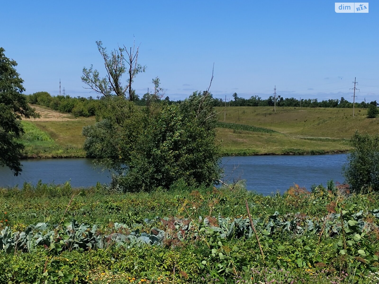 одноповерховий будинок з опаленням, 47.3 кв. м, цегла. Продаж у Сквирі фото 1