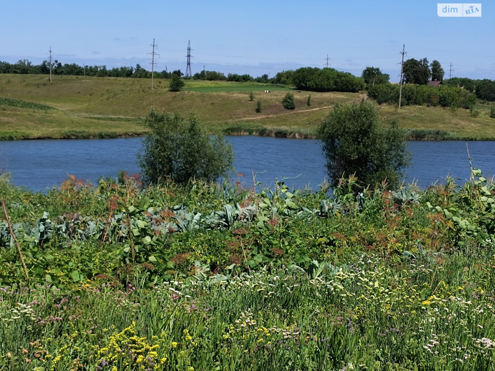 одноповерховий будинок з опаленням, 47.3 кв. м, цегла. Продаж у Сквирі фото 1