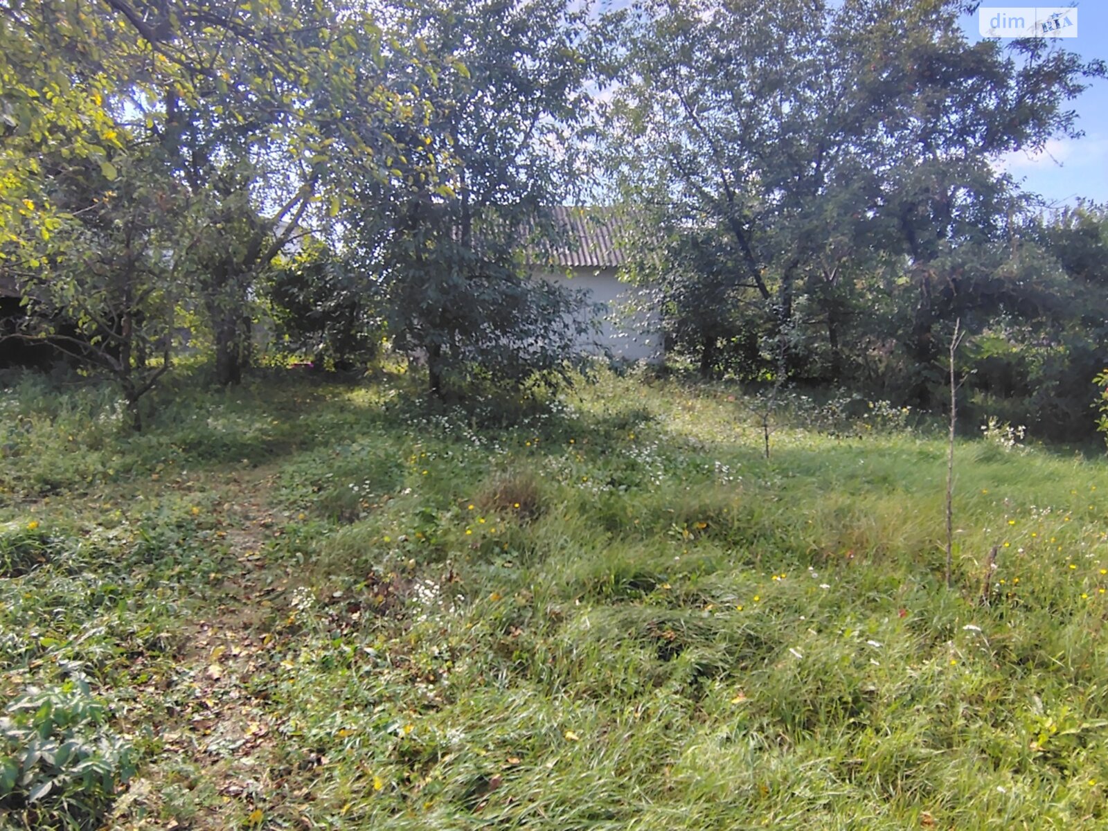 одноповерховий будинок з опаленням, 25.9 кв. м, цегла. Продаж у Сквирі фото 1