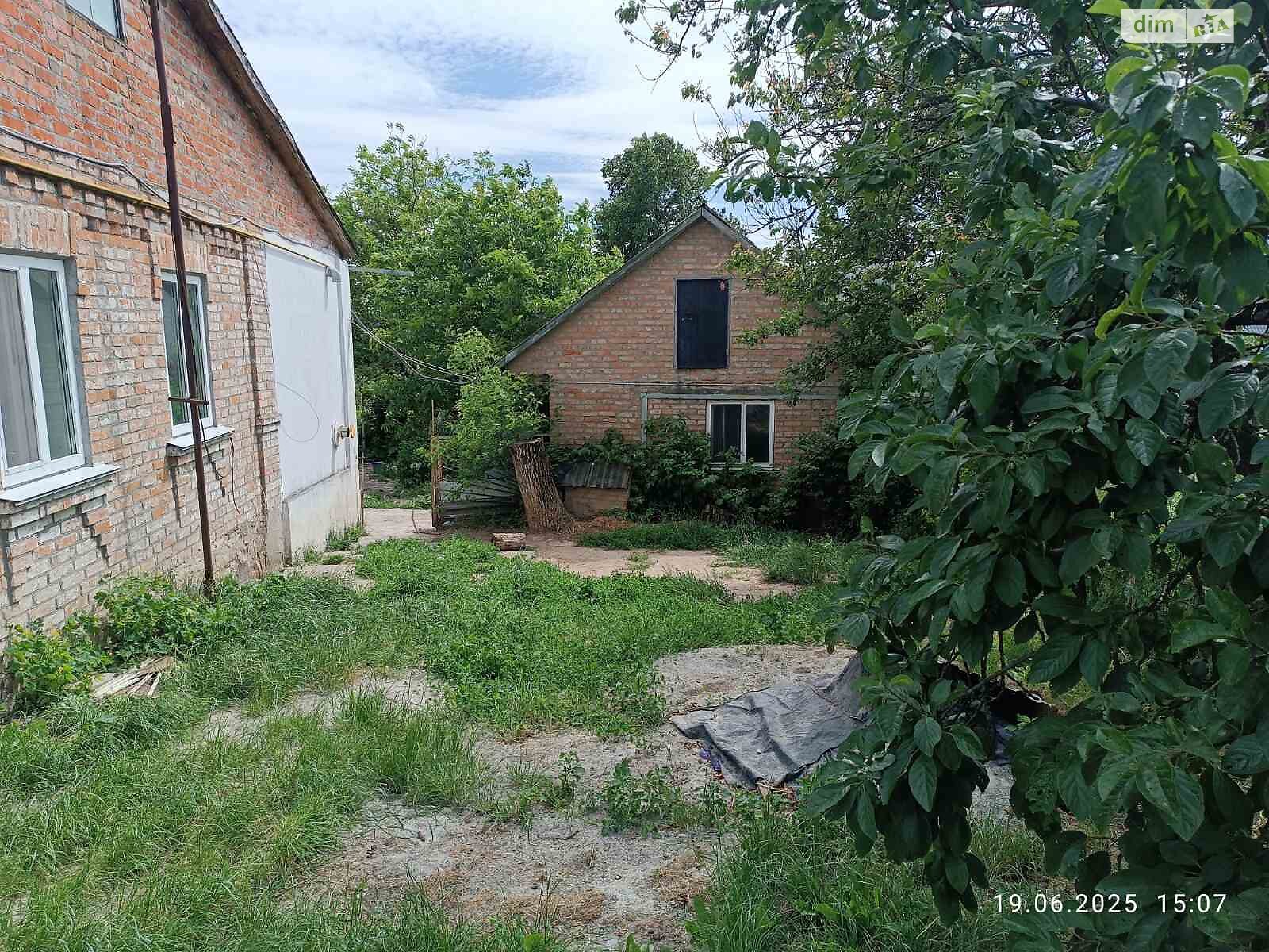 одноповерховий будинок з опаленням, 85 кв. м, цегла. Продаж в Сквирі, район Сквира фото 1 одноповерховий будинок з опаленням, 85 кв. м, цегла. Продаж в Сквирі, район Сквира фото 1