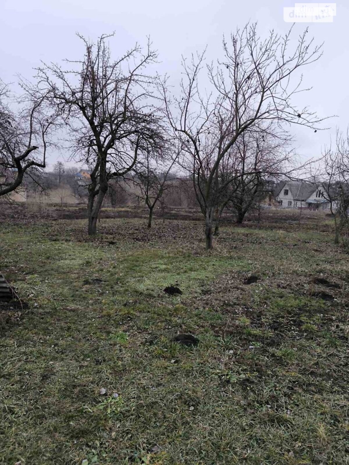одноповерховий будинок з верандою, 129.5 кв. м, дерево та цегла. Продаж у Сквирі фото 1 одноповерховий будинок з верандою, 129.5 кв. м, дерево та цегла. Продаж у Сквирі фото 1