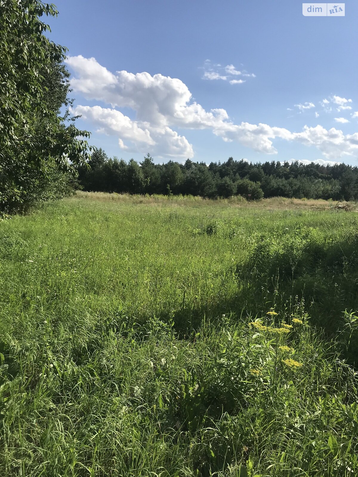 двоповерховий будинок, 137 кв. м, цегла. Продаж у Славному фото 1 двоповерховий будинок, 137 кв. м, цегла. Продаж у Славному фото 1
